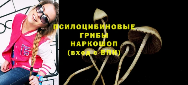 дживик Алексеевка