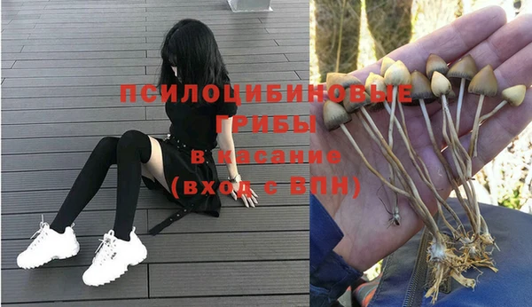 каннабис Алексин