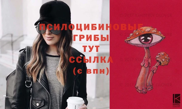 дживик Алексеевка