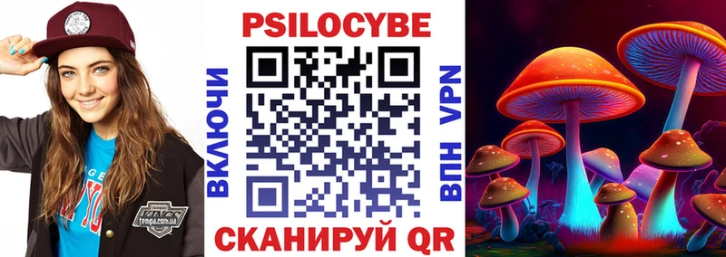 цена мега ссылки Псилоцибиновые грибы Cubensis Туринск
